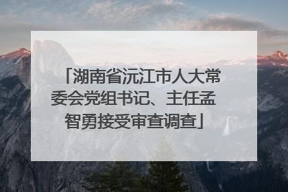 湖南省沅江市人大常委会党组书记、主任孟智勇接受审查调查